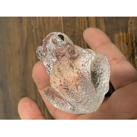 Clear Realistic Looking Crystal Art Glass Frog Paperweight  2.25"L