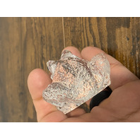 Clear Realistic Looking Crystal Art Glass Frog Paperweight  2.25"L