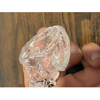 Clear Realistic Looking Crystal Art Glass Frog Paperweight  2.25"L