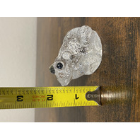 Clear Realistic Looking Crystal Art Glass Frog Paperweight  2.25"L