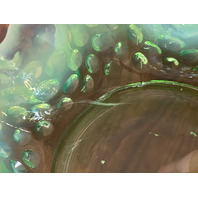 VTG UV REACTIVE FENTON Green Opalescent Hobnail Candy Dish 5.5"W