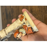 RARE DOUBLE STAMP VTG Goebel Hummel WORSHIP Figurine #84 5.5"H TMK2 FULL BEE