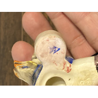 VTG Goebel Hummel ANGEL WITH LUTE Figurine Candle Holder 2.5"H Germany TMK2