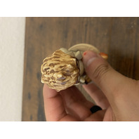 VTG Goebel Hummel DOCTOR Figurine #127, 4.75"H W.GERMANY TMK5