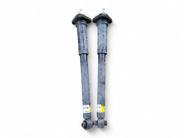 Lexus GS350 13-16 Rear Left/Right Strut Shock Absorber Set 48530-80630, E028, OEM, 2013, 2014, 2015, 2016