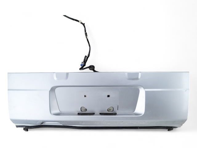 Honda Element 03-08 Rear Lower Tailgate Trunk Lid Assembly, Silver Metallic, 68700-SCV-A90ZZ, E029, OEM, 2003, 2004, 2005, 2006, 2007, 2008