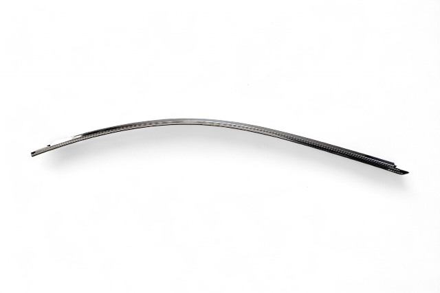 Lexus RC F 15-20 Front Left/Driver Door Roof Molding Trim, E055, OEM, 2015, 2016, 2017, 2018, 2019, 2020