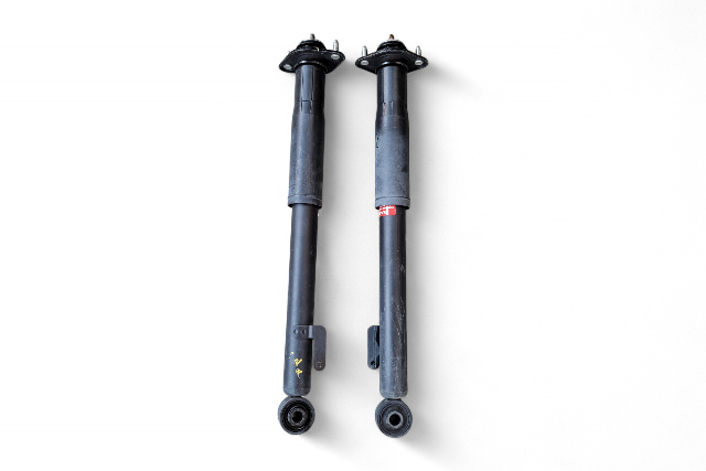 Acura RL 05-08 Shock Absorber Strut, Rear Left/Right Set, E058, OEM, 2005, 2006, 2007, 2008