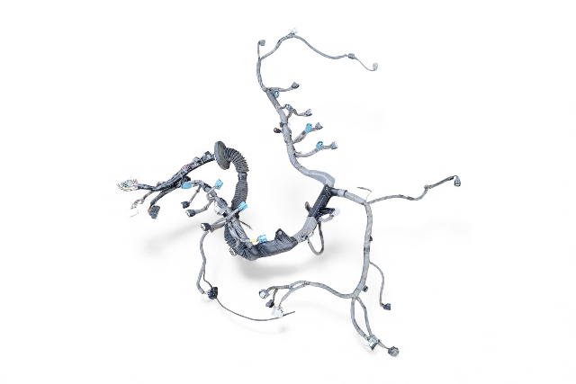 Toyota 4Runner 03-05 Engine Wire Harness 82121-3M420, E059, OEM, 2003, 2004, 2005