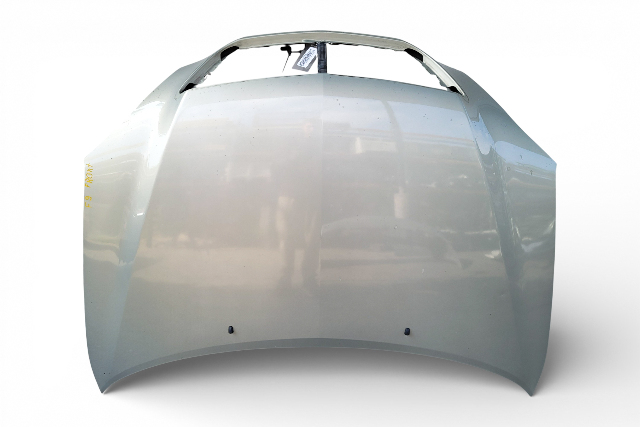 Lexus RX400h 06-08 Hood Bonnet Assembly, Bamboo Pearl, 53301-0E020, F009, OEM, 2006, 2007, 2008