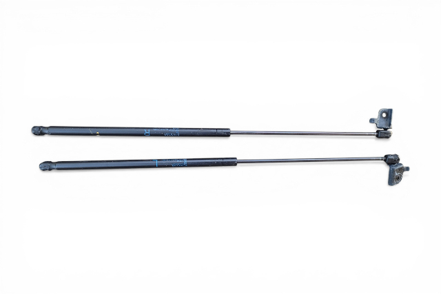 2007-2012 Lexus ES350 Hood Damper Stay Strut Left/Right Set, 53440-0W131, 53450-0W101, F016, OEM, 2007, 2008, 2009, 2010, 2011, 2012