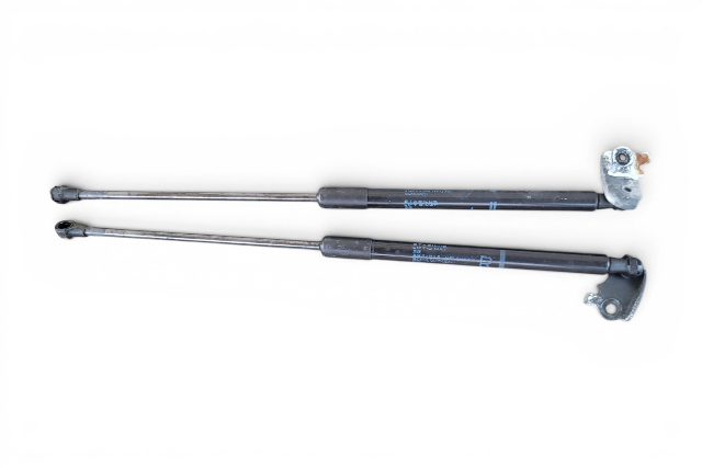 2013-2020 Lexus GS350 Hood Damper Stay Strut Left/Right Set, F025, OEM, 2013, 2014, 2015, 2016, 2017, 2018, 2019, 2020