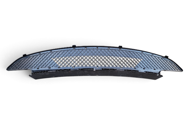 2003-2005 BMW Z4 E85 Front Bumper Lower Center Grille Mesh, 51-11-7-016-061, F038, OEM, 2003, 2004, 2005