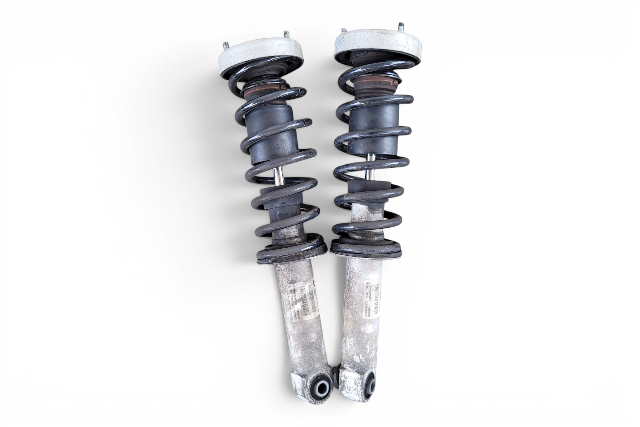 2006-2010 BMW 650i E64 Convertible Rear Shock Absorber Strut, 33-52-6-767-733, F039, OEM, 2006, 2007, 2008, 2009, 2010