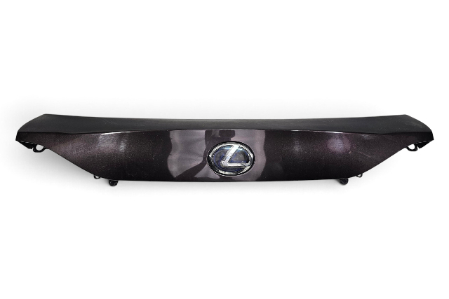 2011-2017 Lexus CT200h Liftgate Lower Trim Panel Garnish w/Emblem Fire Agate, 76801-76010-E0, F051, OEM, 2011, 2012, 2013, 2014, 2015, 2016, 2017