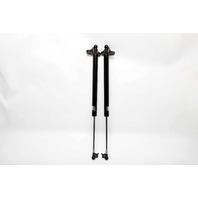 Toyota 4Runner 03-09 Lift Gate Trunk Damper Shock Right & Left Set 68907-39015 A987 2003, 2004, 2005, 2006, 2007, 2008, 2009 Toyota 4Runner 03-09 Lift Gate Trunk Damper Shock Right & Left Set 68907-39015 A987 2003, 2004, 2005, 2006, 2007, 2008, 2009