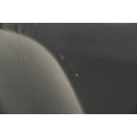 Acura TL 07-08 Rear Right Door Panel Lining Trim Grey/Black 83736-SEP-A11ZB, OEM, 2007, 2008