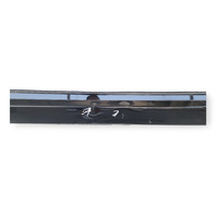 Lexus GS350 13-16 Left Rocker Panel Molding Side Skirt Black, 75852-30903, E028, OEM, 2013, 2014, 2015, 2016