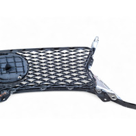 Lexus GS350 13-16 Front Grille Grill w/Molding Emblem, 53111-30D90, 90975-02125, E028, OEM, 2013, 2014, 2015, 2016