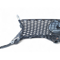 Lexus GS350 13-16 Front Grille Grill w/Molding Emblem, 53111-30D90, 90975-02125, E028, OEM, 2013, 2014, 2015, 2016