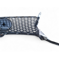 Lexus GS350 13-16 Front Grille Grill w/Molding Emblem, 53111-30D90, 90975-02125, E028, OEM, 2013, 2014, 2015, 2016