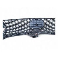 Lexus GS350 13-16 Front Grille Grill w/Molding Emblem, 53111-30D90, 90975-02125, E028, OEM, 2013, 2014, 2015, 2016