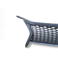 Lexus GS350 13-16 Front Grille Grill w/Molding Emblem, 53111-30D90, 90975-02125, E028, OEM, 2013, 2014, 2015, 2016
