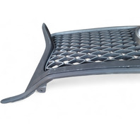 Lexus GS350 13-16 Front Grille Grill w/Molding Emblem, 53111-30D90, 90975-02125, E028, OEM, 2013, 2014, 2015, 2016