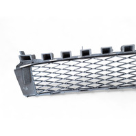 Lexus GS350 13-16 Front Bumper Lower Grille Grill Black 53112-30240, E028, OEM, 2013, 2014, 2015, 2016
