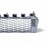Lexus GS350 13-16 Front Bumper Lower Grille Grill Black 53112-30240, E028, OEM, 2013, 2014, 2015, 2016