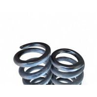 Lexus GS350 13-16 RWD Rear Coil Spring Left/Right Set (2), E028, OEM, 2013, 2014, 2015, 2016
