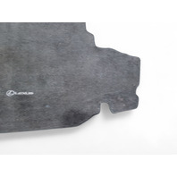 Lexus GS350 13-20 Spare Floor Carpet Trunk/Cargo Mat, PT206-30133-20, E028, OEM, 2013, 2014, 2015, 2016, 2017, 2018, 2019, 2020