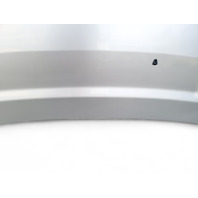 Honda Element 03-08 Engine Hood Assy, Silver Metallic, 60100-SCV-A90ZZ, E029, OEM, 2003, 2004, 2005, 2006, 2007, 2008