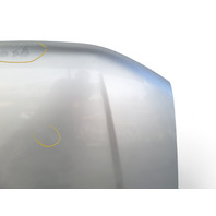 Honda Element 03-08 Engine Hood Assy, Silver Metallic, 60100-SCV-A90ZZ, E029, OEM, 2003, 2004, 2005, 2006, 2007, 2008