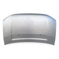 Honda Element 03-08 Engine Hood Assy, Silver Metallic, 60100-SCV-A90ZZ, E029, OEM, 2003, 2004, 2005, 2006, 2007, 2008