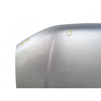 Honda Element 03-08 Engine Hood Assy, Silver Metallic, 60100-SCV-A90ZZ, E029, OEM, 2003, 2004, 2005, 2006, 2007, 2008