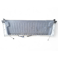 Honda Element 03-08 Rear Lower Tailgate Trunk Lid Assembly, Silver Metallic, 68700-SCV-A90ZZ, E029, OEM, 2003, 2004, 2005, 2006, 2007, 2008