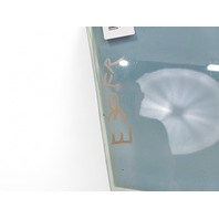 Honda CR-Z CRZ 11-13 Front Door Window Glass Right, 73300-SZT-A00, E030, OEM, 2011, 2012, 2013