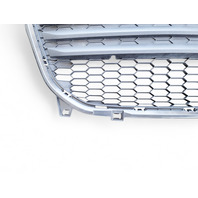 Honda CR-Z 11-12 Coupe Front Bumper Grill Grille, 71121-SZT-A01, E030, OEM, 2011, 2012