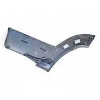 Toyota 4Runner 03-06 Rear Door Molding Trim Right/Passenger 75741-35110-C0, E031, OEM, 2003, 2004, 2005, 2011
