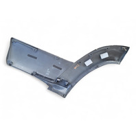 Toyota 4Runner 03-06 Rear Door Molding Trim Right/Passenger 75741-35110-C0, E031, OEM, 2003, 2004, 2005, 2011
