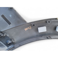 Toyota 4Runner 03-06 Rear Door Molding Trim Right/Passenger 75741-35110-C0, E031, OEM, 2003, 2004, 2005, 2011