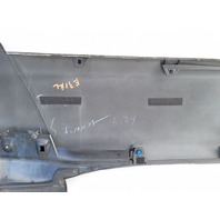 Toyota 4Runner 03-06 Rear Door Molding Trim Left/Driver 75742-35110-C0, E031, OEM, 2003, 2004, 2005, 2011