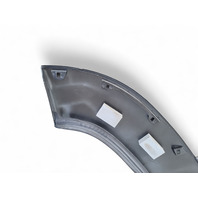 Toyota 4Runner 03-06 Rear Door Molding Trim Left/Driver 75742-35110-C0, E031, OEM, 2003, 2004, 2005, 2011