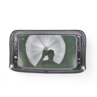 Honda Civic Si 03-05 Sunroof Moon Roof Glass, Factory, 70200-S5S-G11, E032, OEM, 2003, 2004, 2005