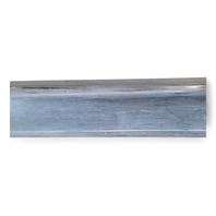 Honda Civic Si 04-05 Rocker Panel Molding Left/Driver 71850-S5S-E01ZC, E032, OEM, 2004, 2005