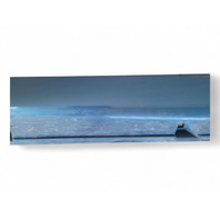 Honda CR-Z CRZ 11-15 Rocker Panel Molding Left/Driver Blue, 71850-SZT-G01ZA, E035, OEM, 2011, 2012, 2013, 2014, 2015