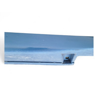 Honda CR-Z CRZ 11-15 Rocker Panel Molding Right/Pass Blue, 71800-SZT-G01ZA, E035, OEM, 2011, 2012, 2013, 2014, 2015