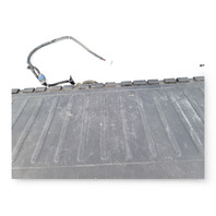 Honda Element 09-11 Rear Lower Tailgate Trunk Lid Assembly Silver Metallic, E036, OEM, 2009, 2010, 2011
