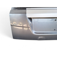 Honda Element 09-11 Rear Lower Tailgate Trunk Lid Assembly Silver Metallic, E036, OEM, 2009, 2010, 2011
